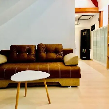 Apartment Joy City Unirii 43 2 Timisoara